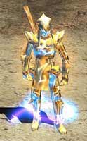 Warrior Leather Set